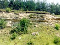 Outcrop of the Hrynchuts'ka Subsuite of Ryhtivs'ka Suite